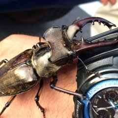 27位のイメージ