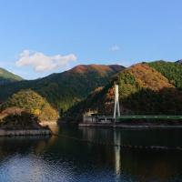 61位のイメージ