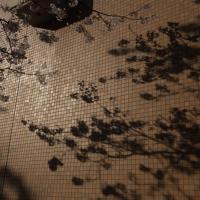 26位のイメージ