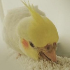 46位のイメージ