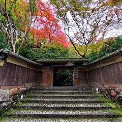 28位のイメージ