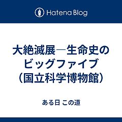 12位のイメージ