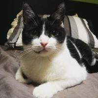 46位のイメージ