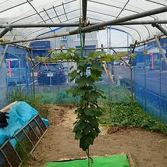 67位のイメージ