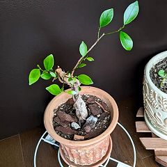 163位のイメージ