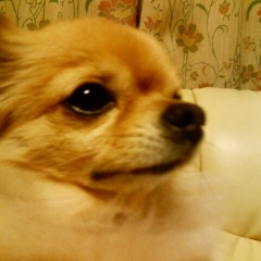 30位のイメージ