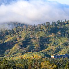 37位のイメージ