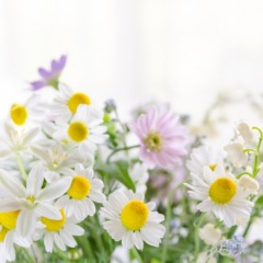 10位のイメージ