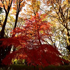 156位のイメージ