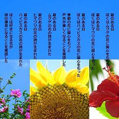 112位のイメージ