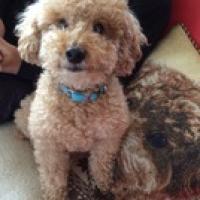 31位のイメージ