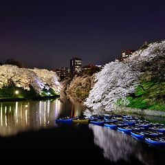 130位のイメージ