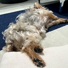 10位のイメージ