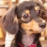 53位のイメージ