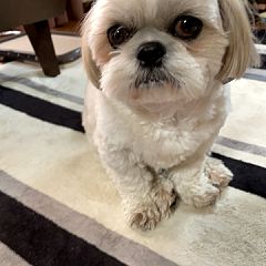 32位のイメージ