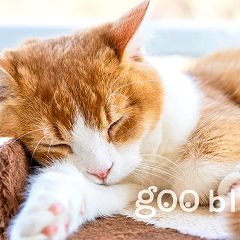 229位のイメージ