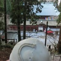 16282位のイメージ