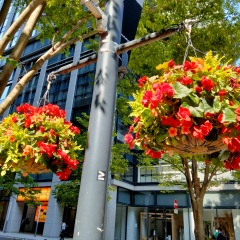 12位のイメージ