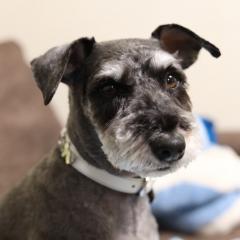 13位のイメージ