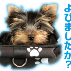 31位のイメージ