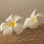 31位のイメージ