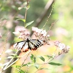 71位のイメージ