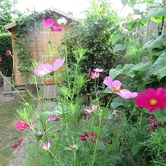 112位のイメージ