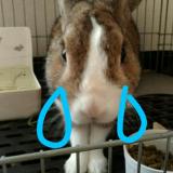 19位のイメージ