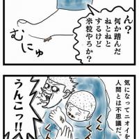 155位のイメージ