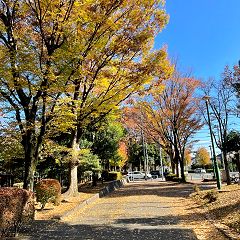 15位のイメージ