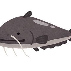 117位のイメージ