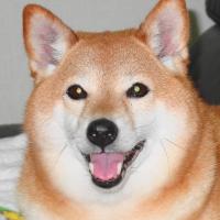 15位のイメージ