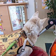 65位のイメージ