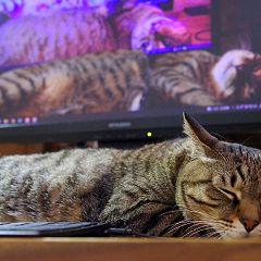 21位のイメージ