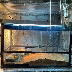 25位のイメージ