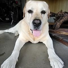 12位のイメージ