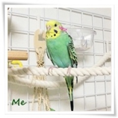 44位のイメージ