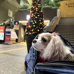 22位のイメージ