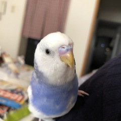 30位のイメージ