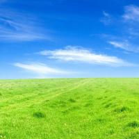 131位のイメージ