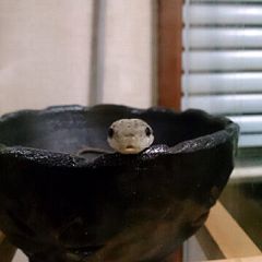 25位のイメージ