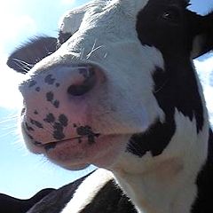 25位のイメージ