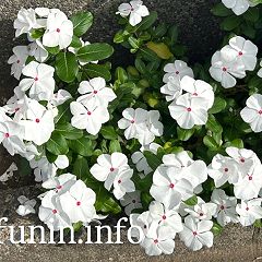 60位のイメージ