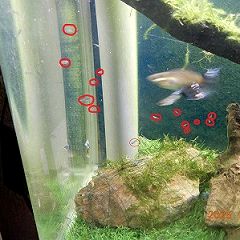 12位のイメージ