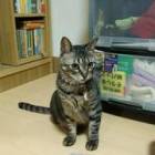 91位のイメージ