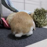 46位のイメージ