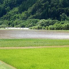 24位のイメージ