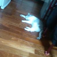 27位のイメージ