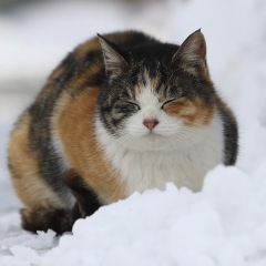 22位のイメージ