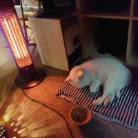 147位のイメージ